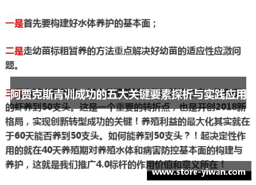 阿贾克斯青训成功的五大关键要素探析与实践应用