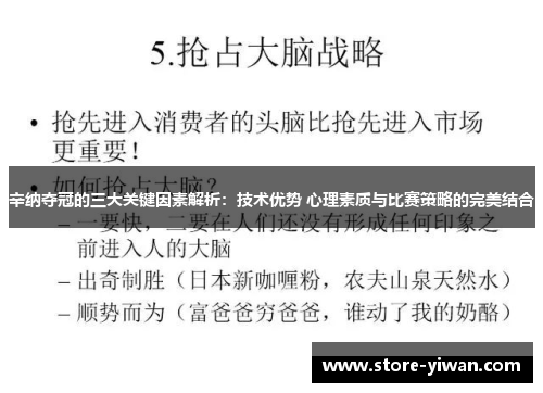 辛纳夺冠的三大关键因素解析：技术优势 心理素质与比赛策略的完美结合