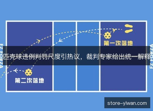 匹克球违例判罚尺度引热议,裁判专家给出统一解释 匹克球违例判罚尺度引热议,裁判专家给出统一解释